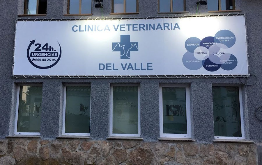 Centro canino en Madrid